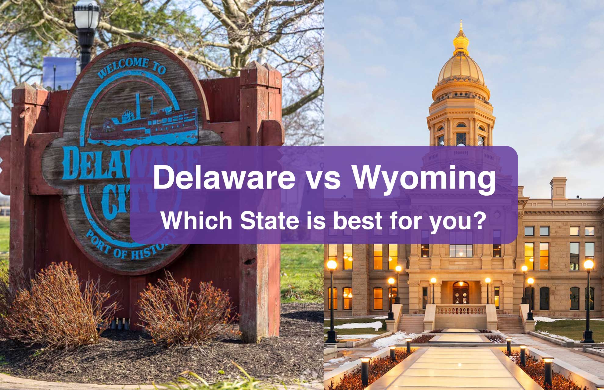 Delaware vs Wyoming LLC Comparison Chart